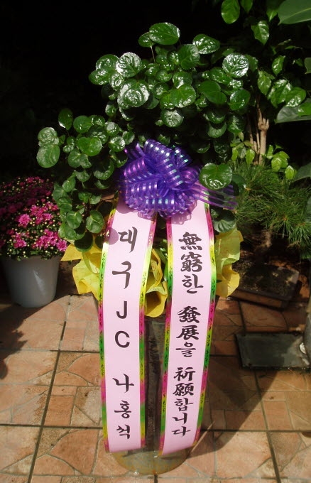 뱸JC