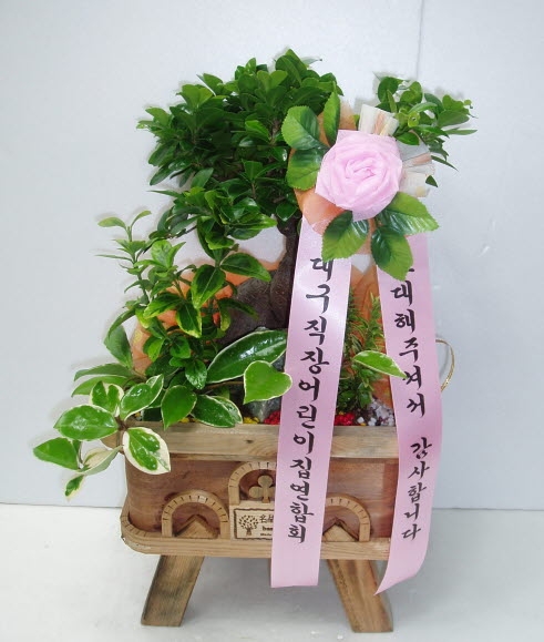 뱸