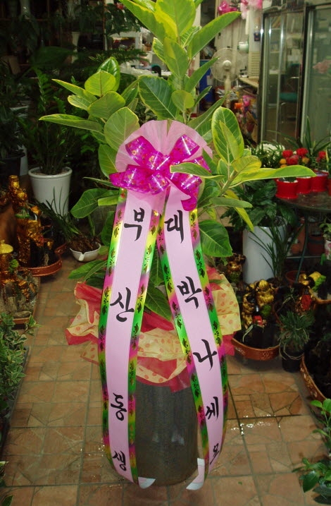 λ굿
