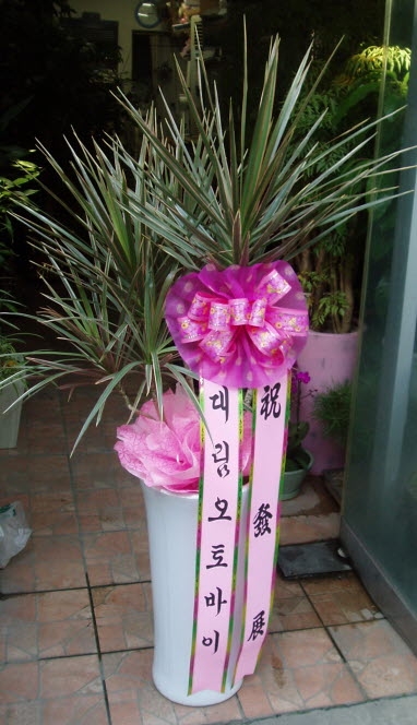 븲