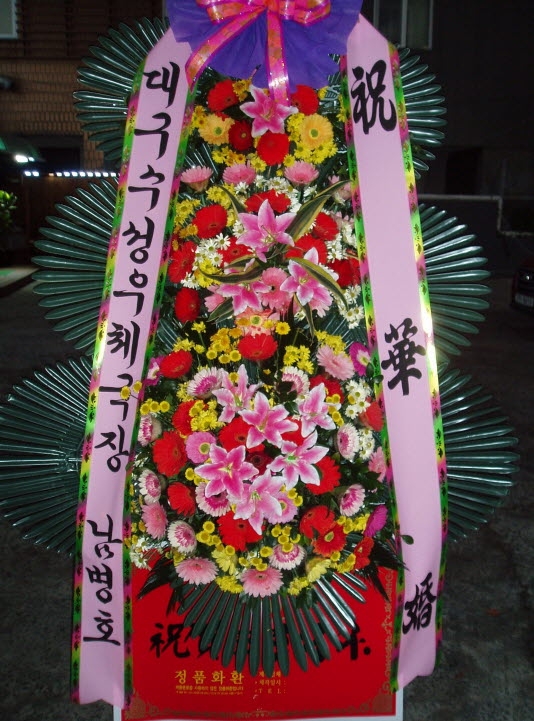뱸ü