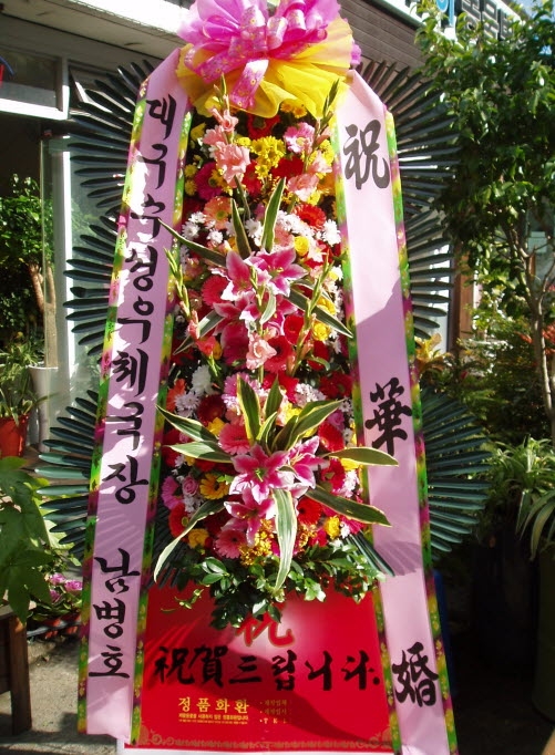 뱸ü