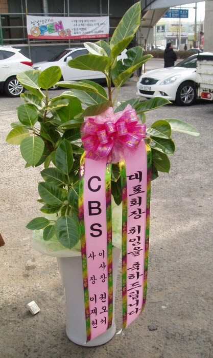 CBS