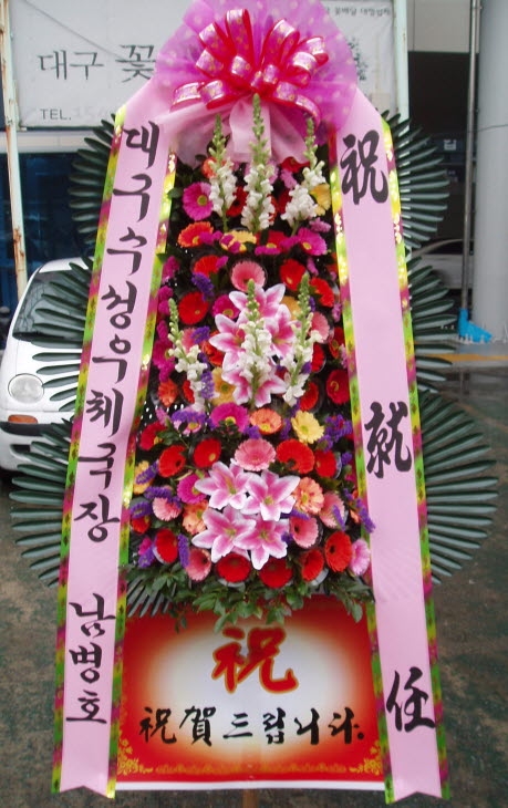 뱸ü