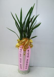 뱸 ޱȸ