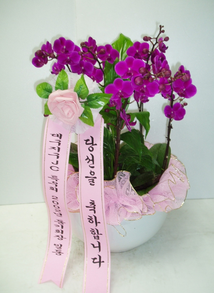 뱸JC