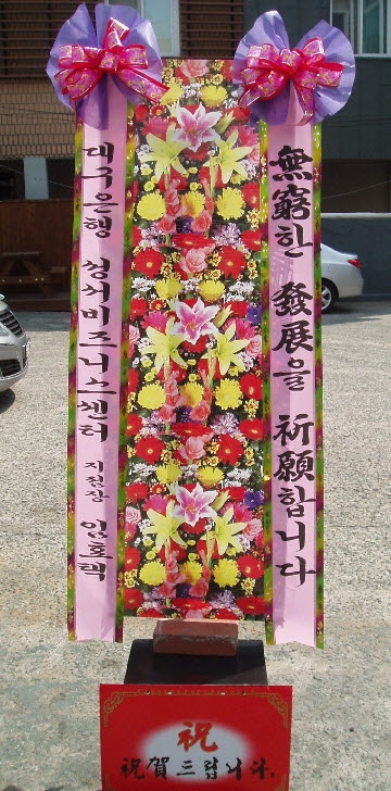 뱸. ()ƿڸ