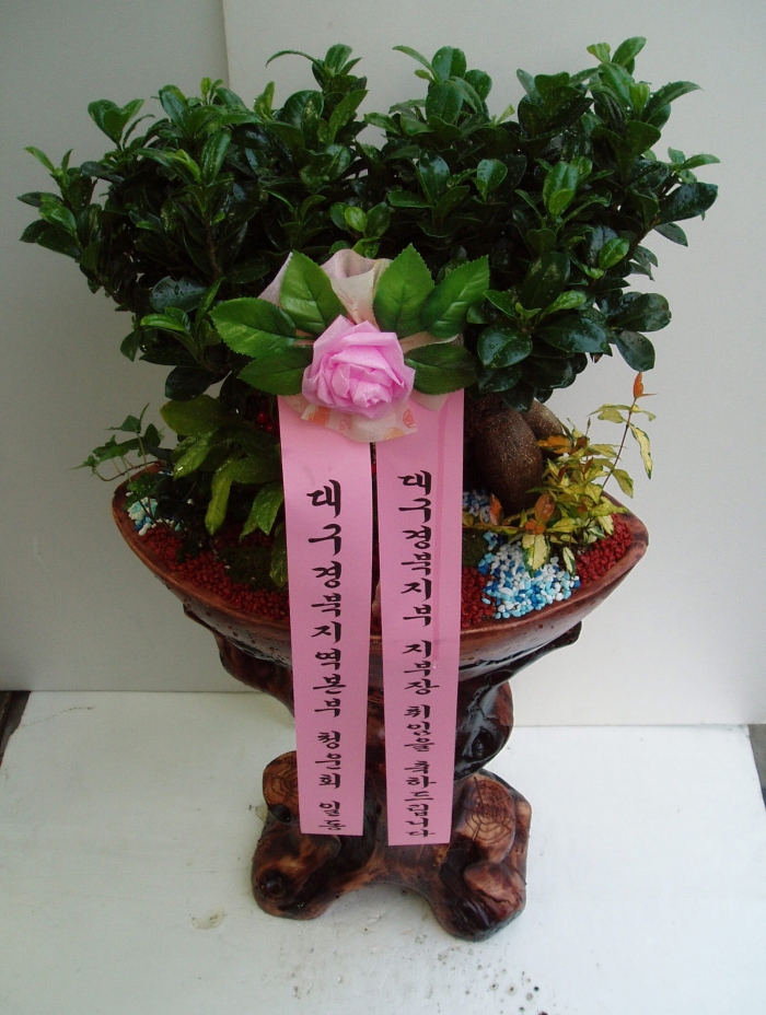 뱸