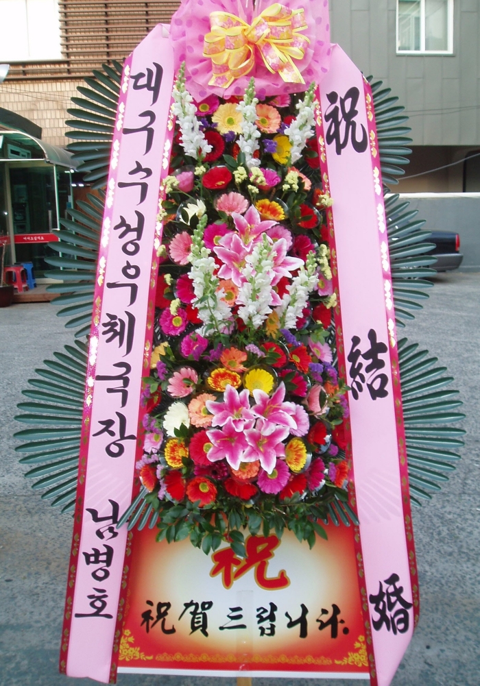 뱸ü