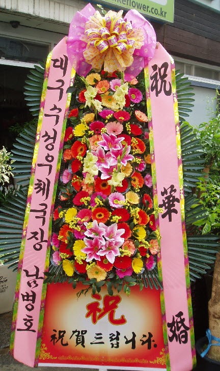뱸ü