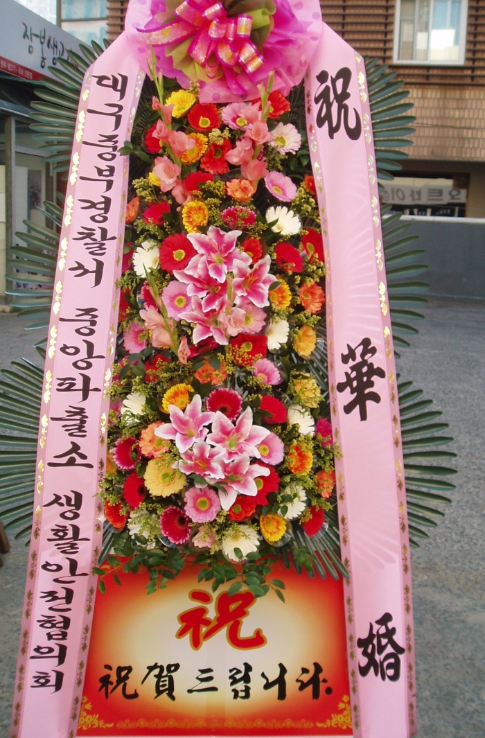 뱸ߺΰ
