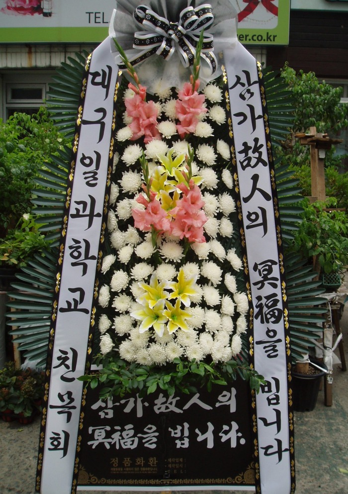 뱸ϰб