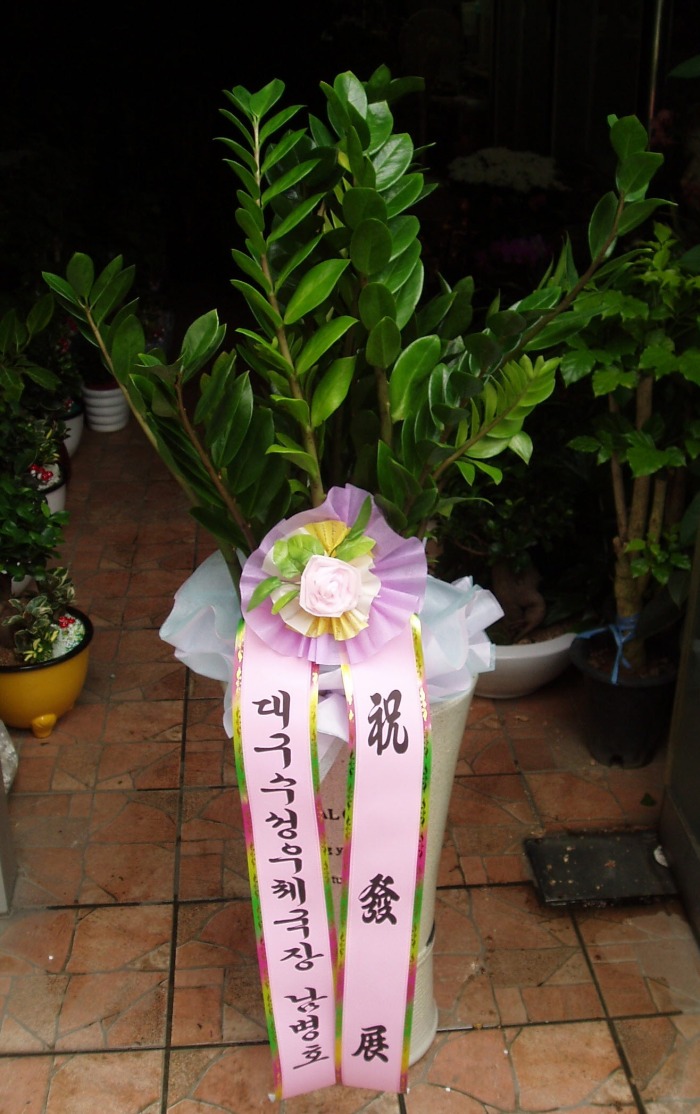 뱸ü