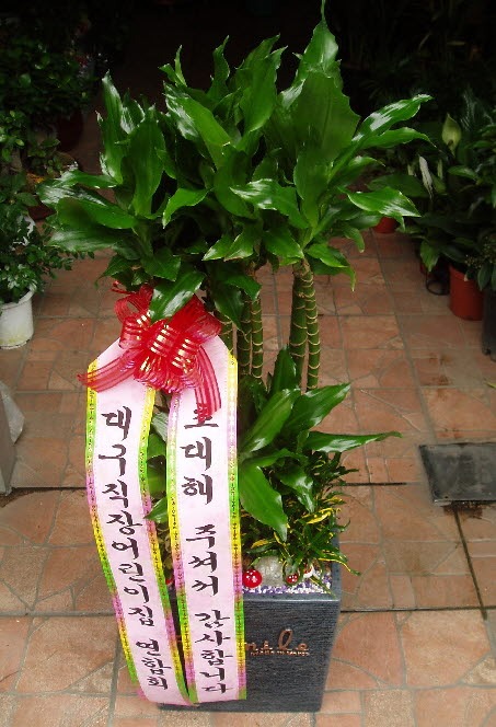 뱸ȸ