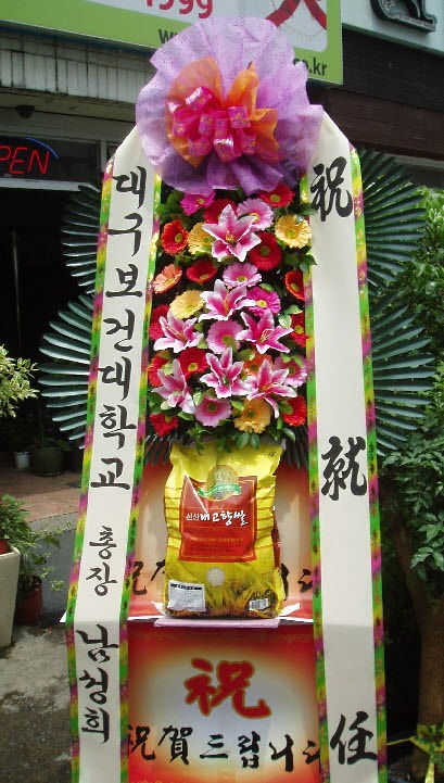 뱸Ǵ  