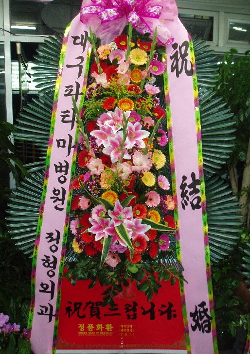 뱸Ƽ