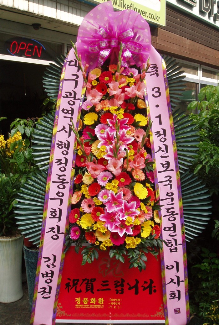 뱸 ȸ