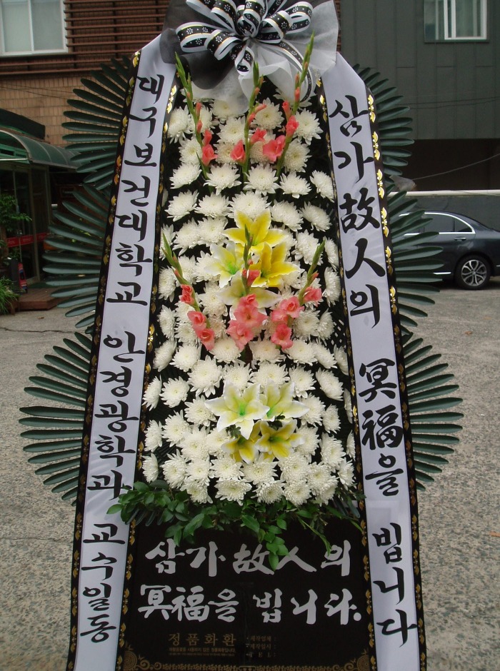 뱸Ǵб Ȱ汤а