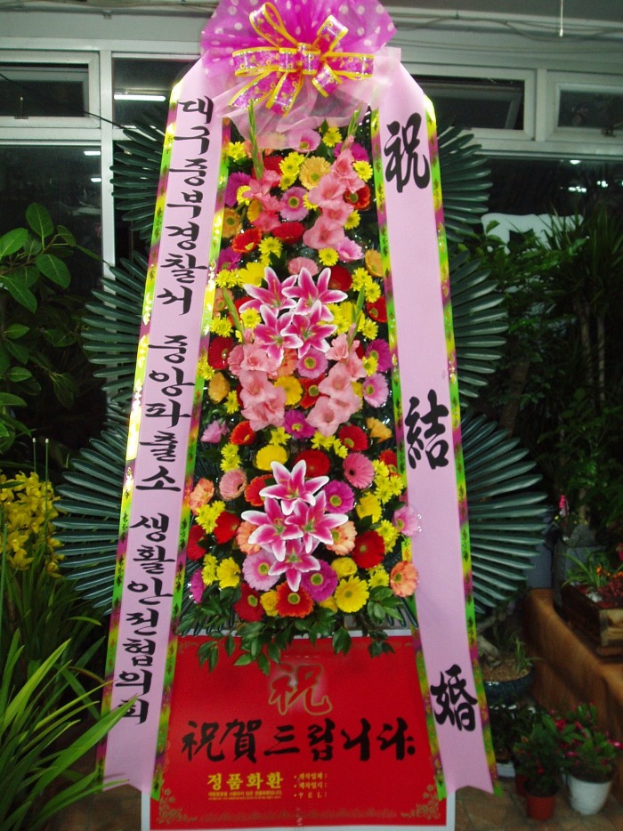 뱸ߺΰ