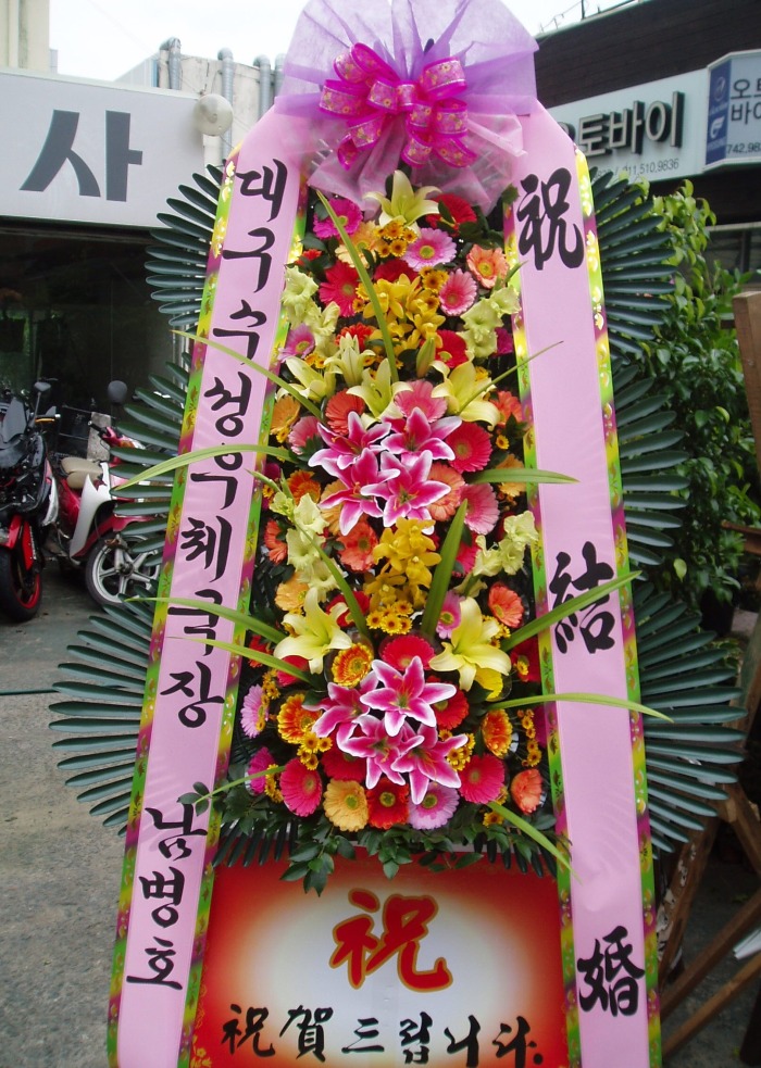 뱸ü