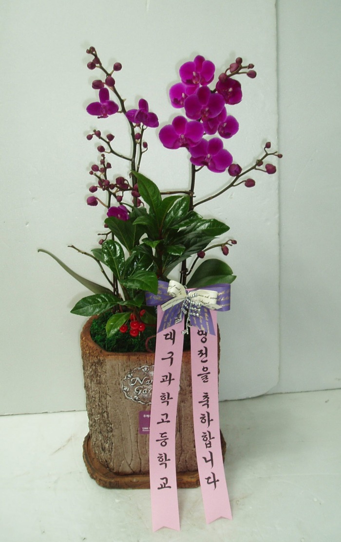 뱸аб