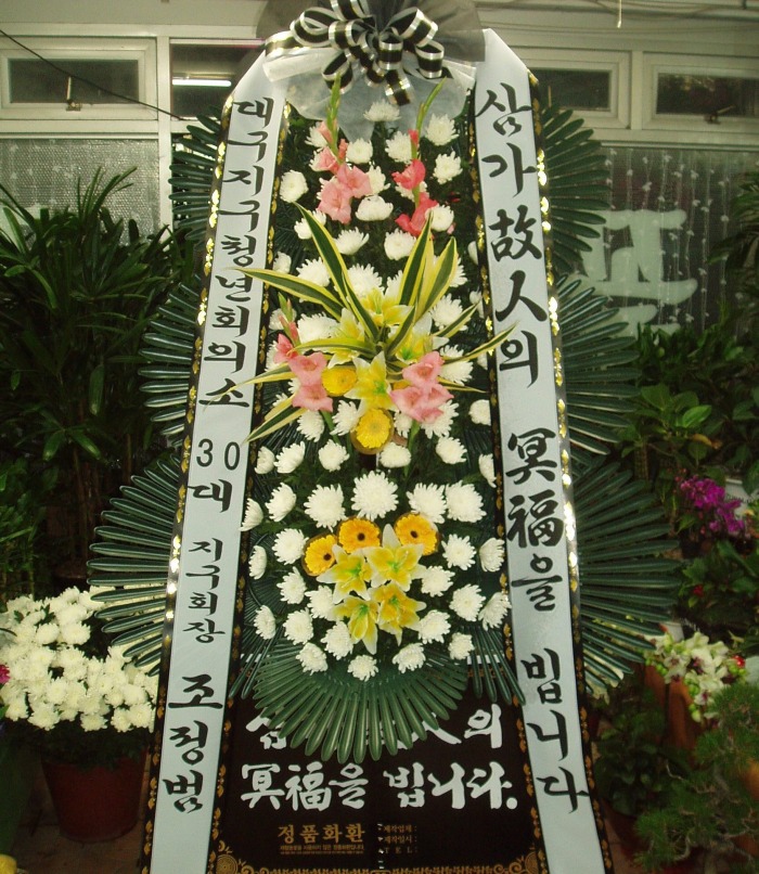 뱸ûȸǼ