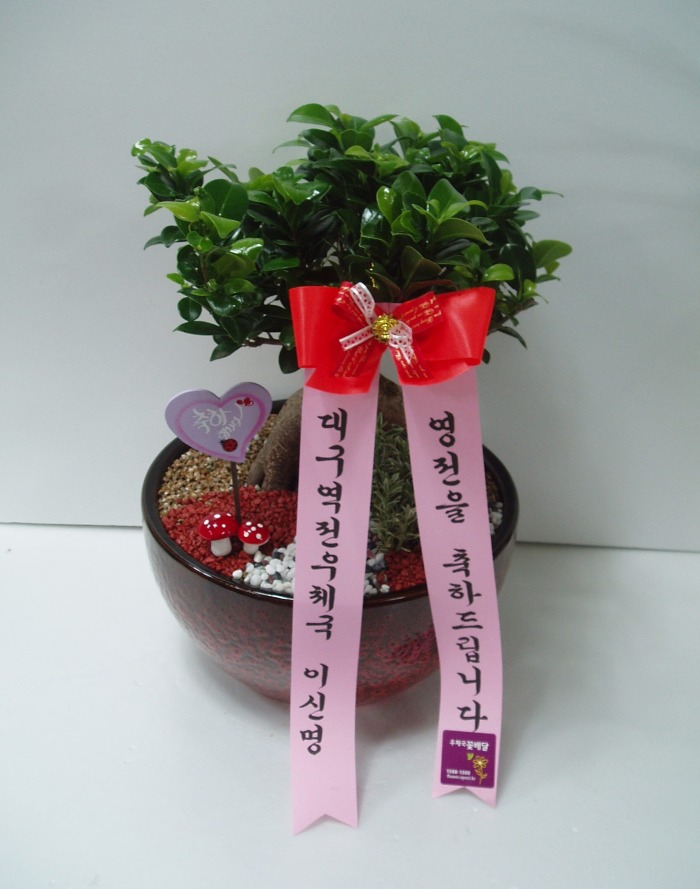 뱸ü