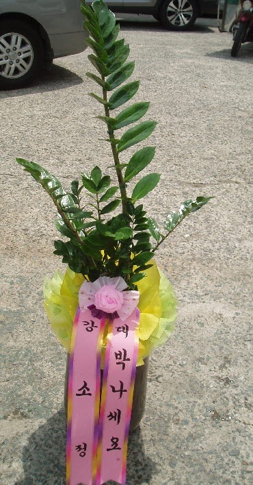  뱸ɹԴϴ