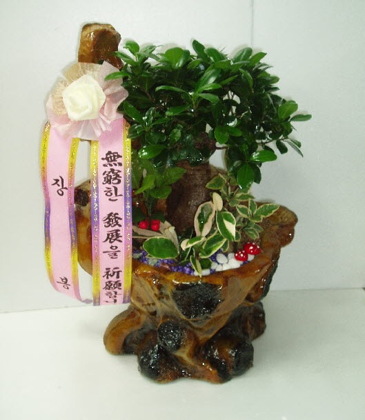  뱸ɹԴϴ