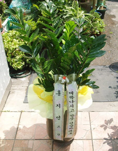 ȫδ 뱸ɹԴϴ