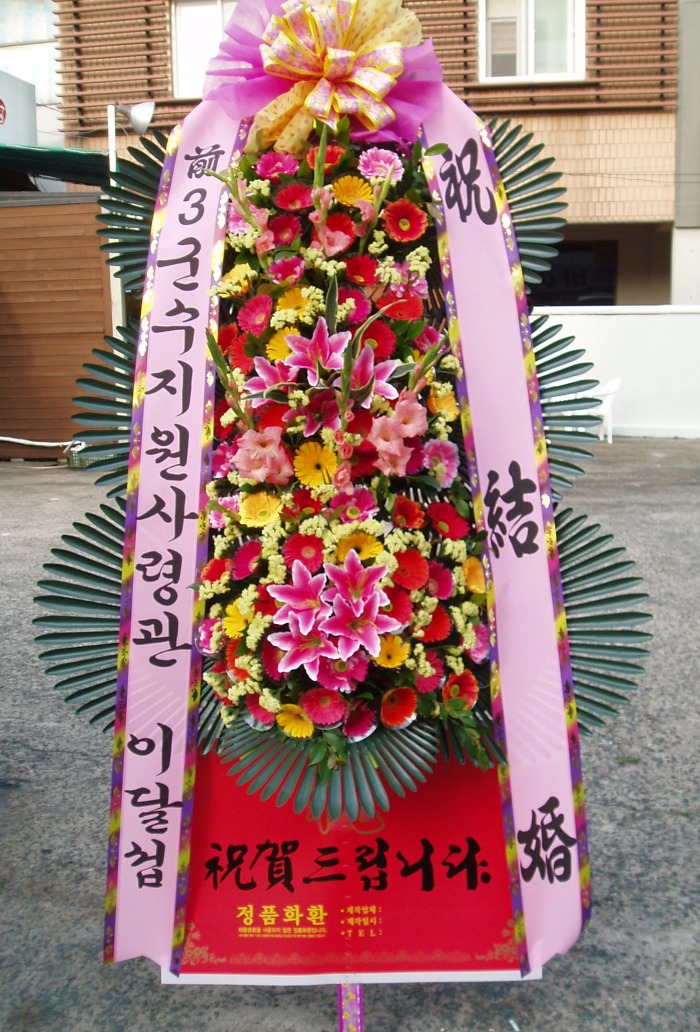 3ɰ 뱸Դϴ