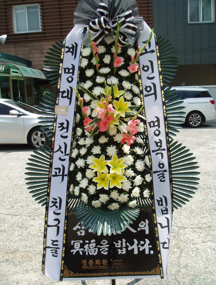   뱸ɹԴϴ