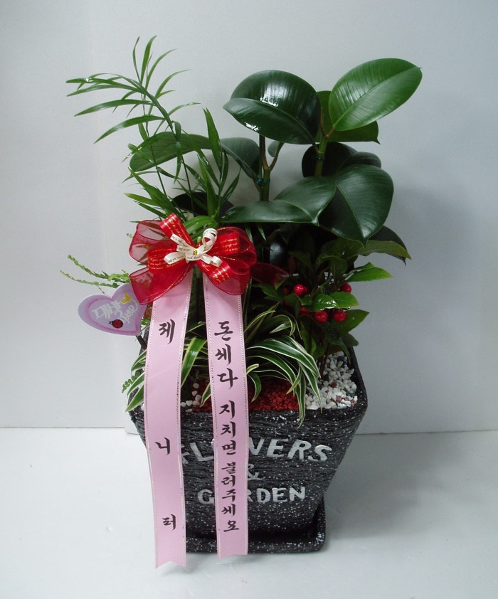 ۴ 뱸Դϴ
