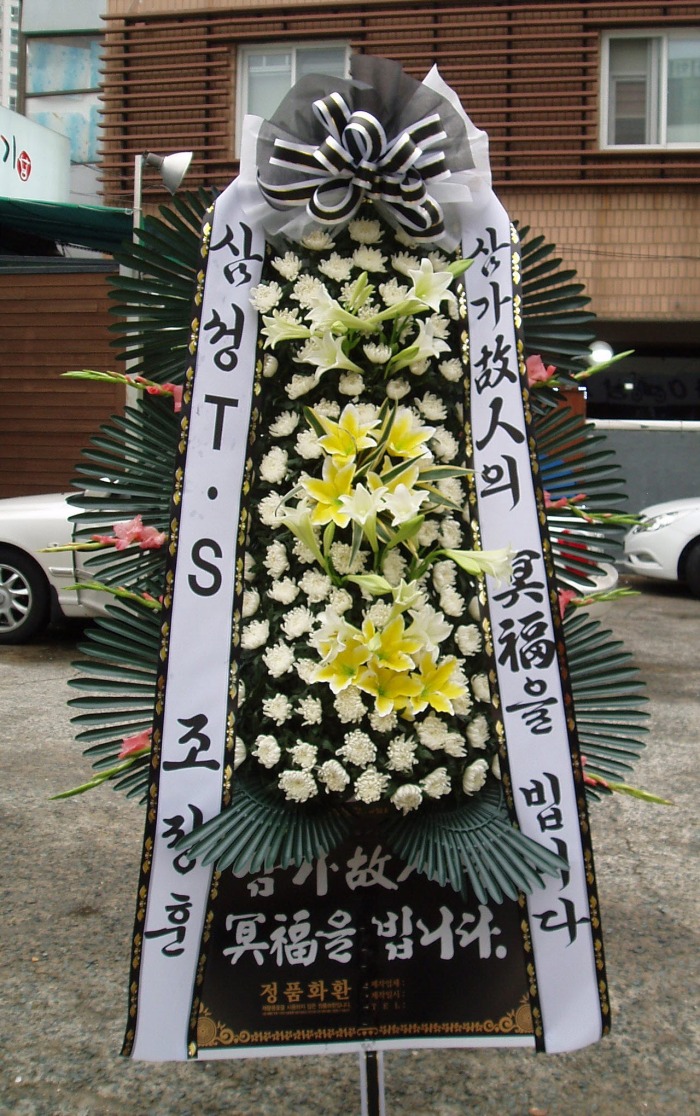 ＺTS 뱸Դϴ