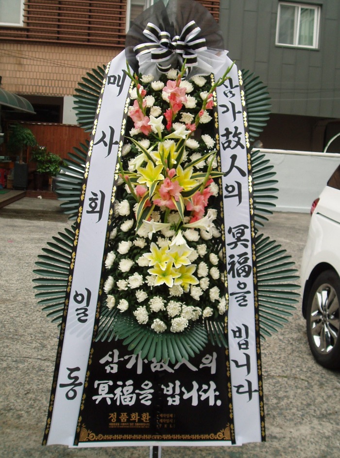 Żȸ 뱸ɹԴϴ