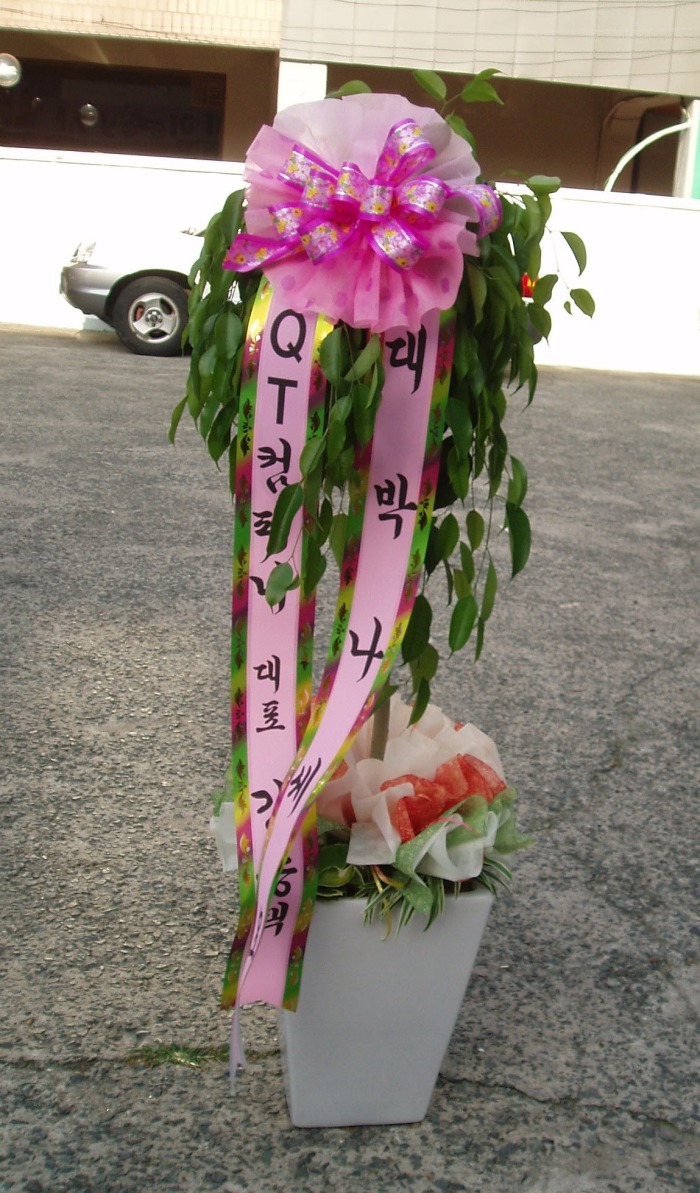 QT۴ϴ 뱸ɹԴϴ