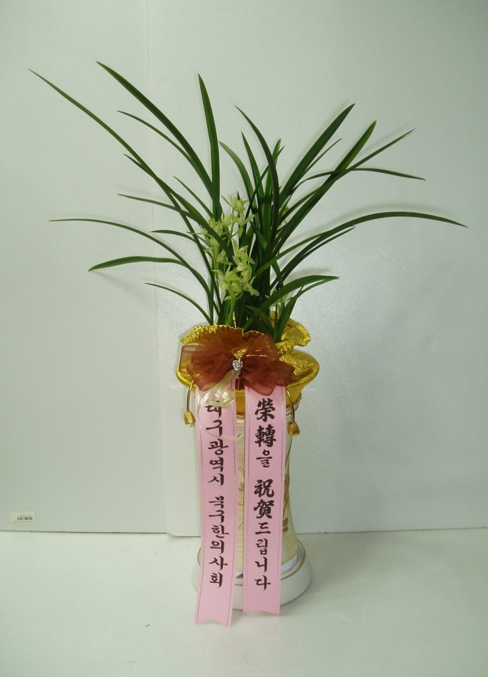 뱸 ǻȸ 뱸ɹԴϴ