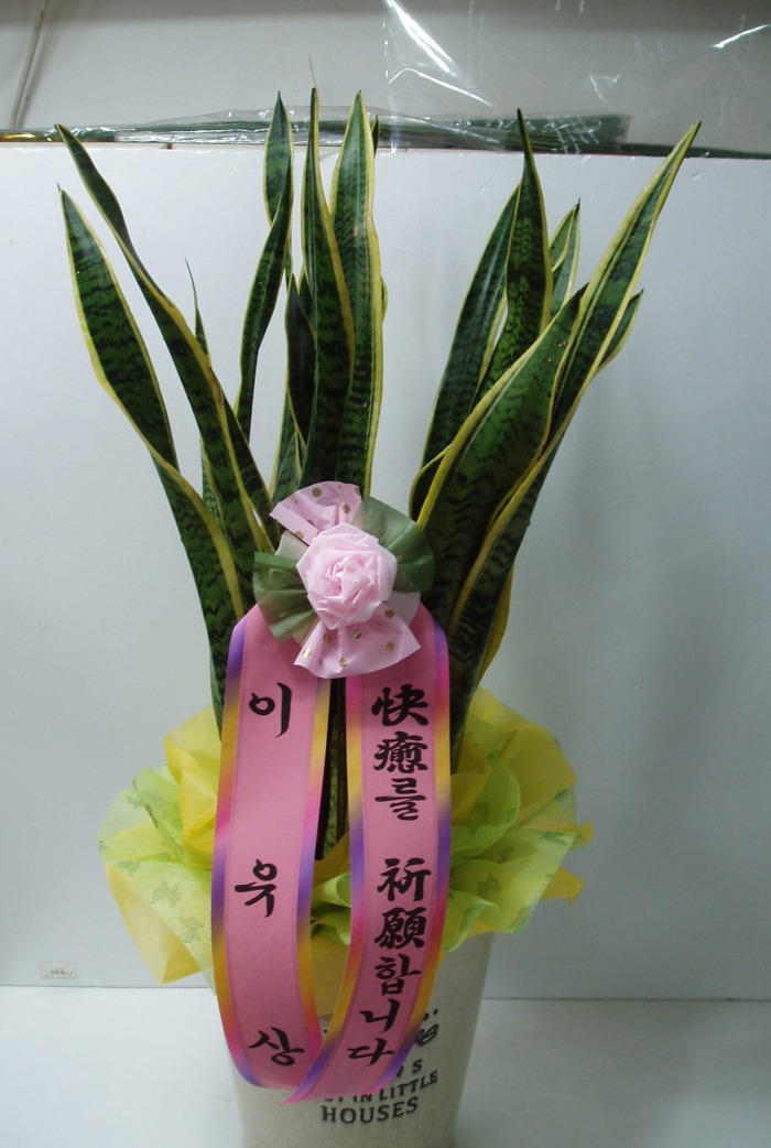 * 뱸 Դϴ