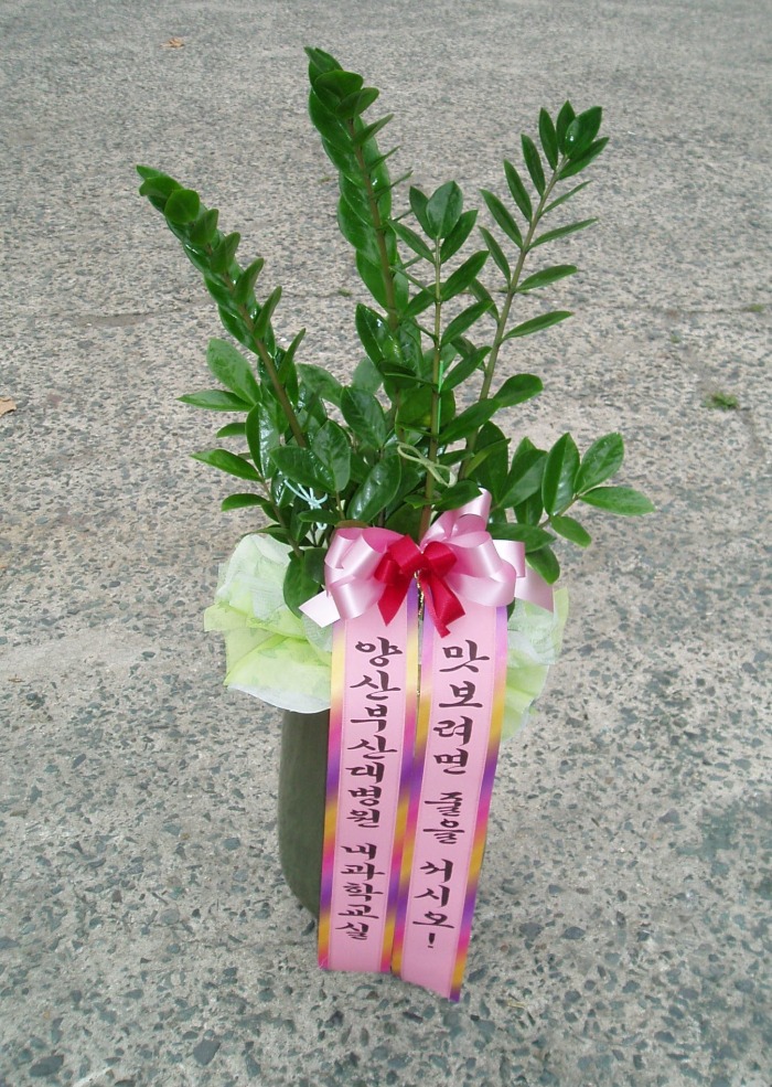 λ뺴 뱸Դϴ