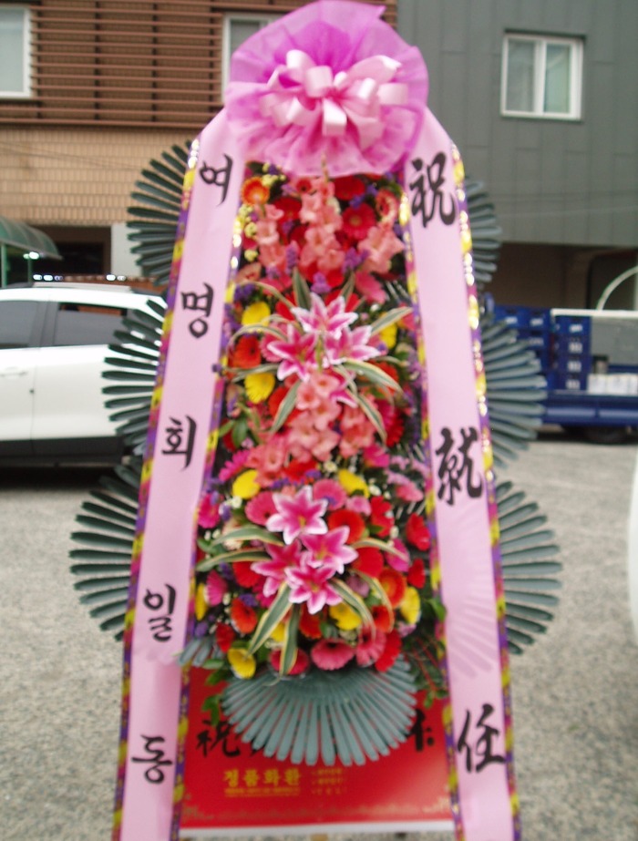ȸ 뱸ɹԴϴ
