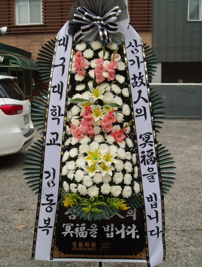 뱸б 뱸Դϴ