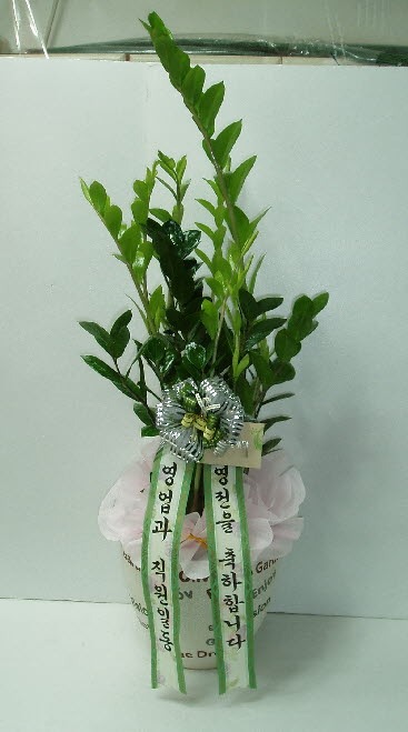  ϵ 뱸ɹԴϴ