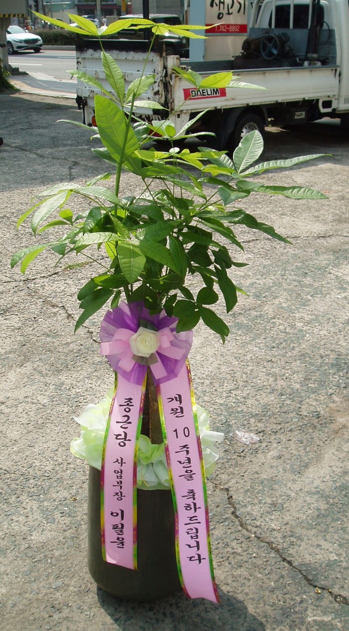 ٴ 뱸ɹ Դϴ