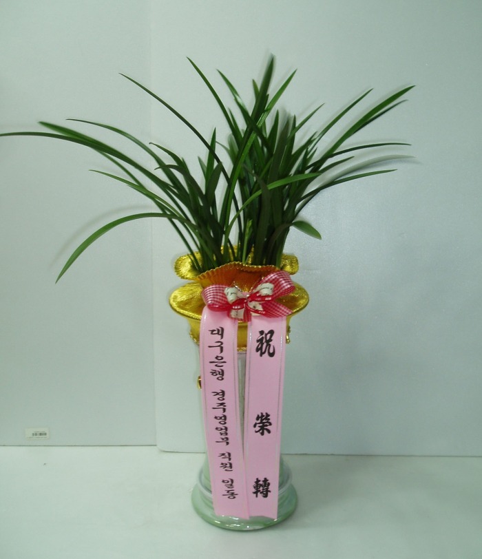 뱸 ֿδ 뱸ɹԴϴ
