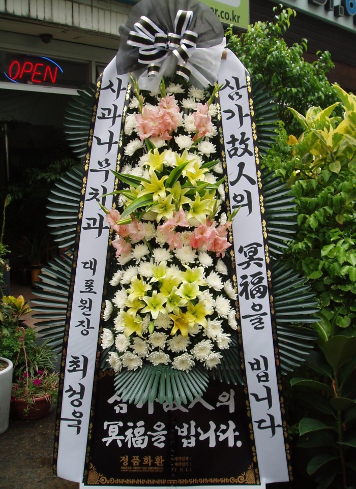 ġ 뱸ɹ Դϴ