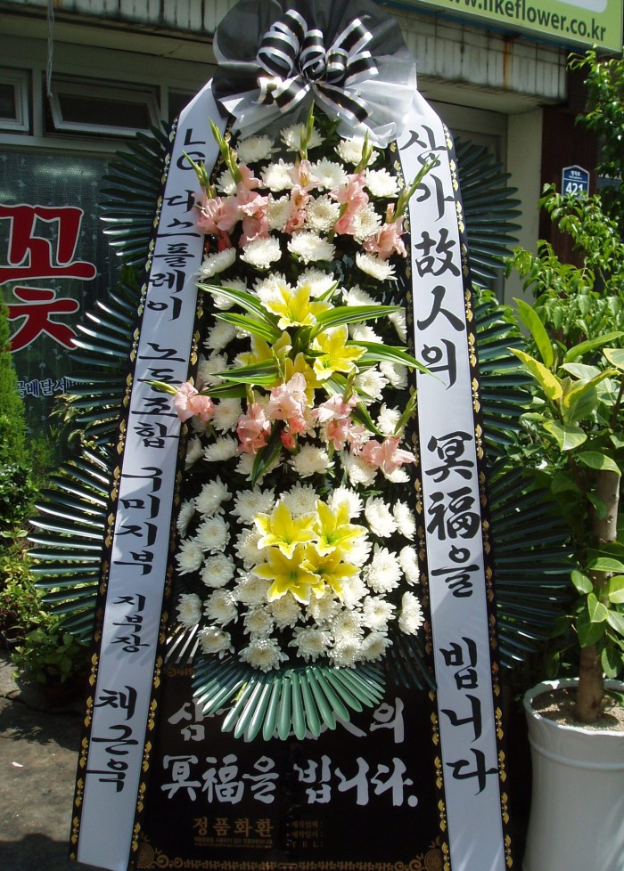LG÷̴ 뱸 Դϴ