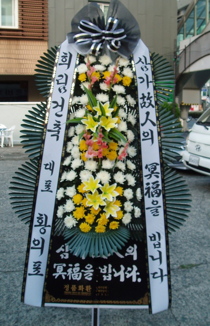 񸲰 뱸Դϴ