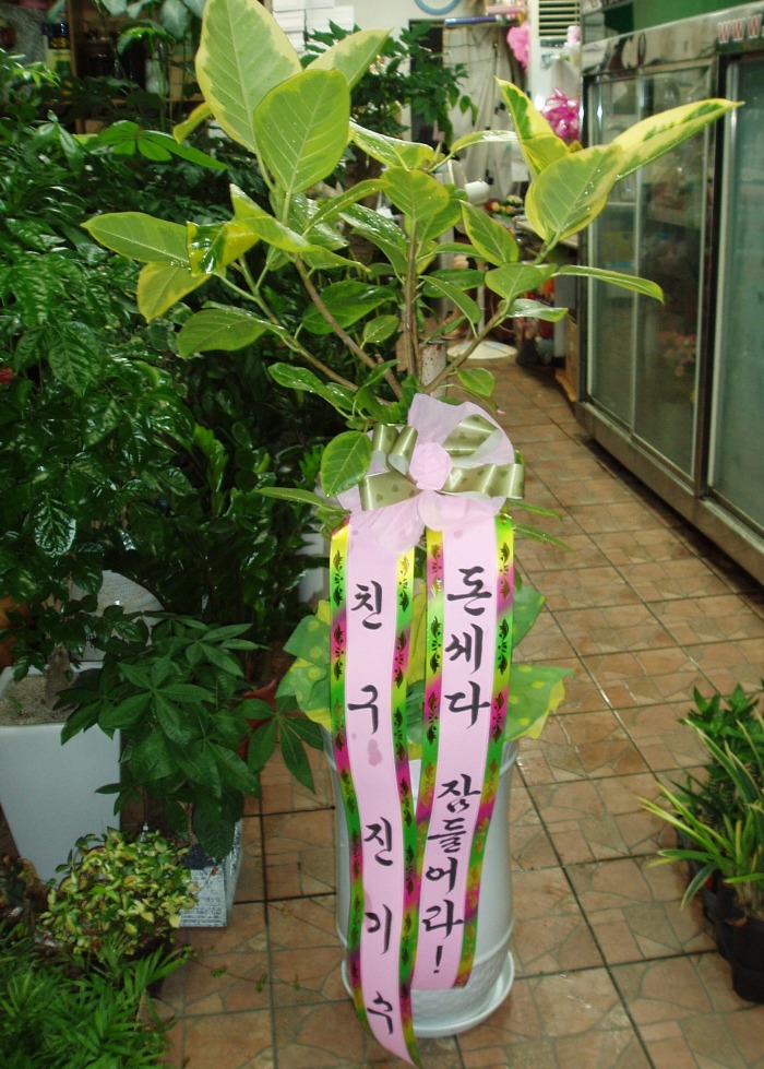  뱸ɹԴϴ