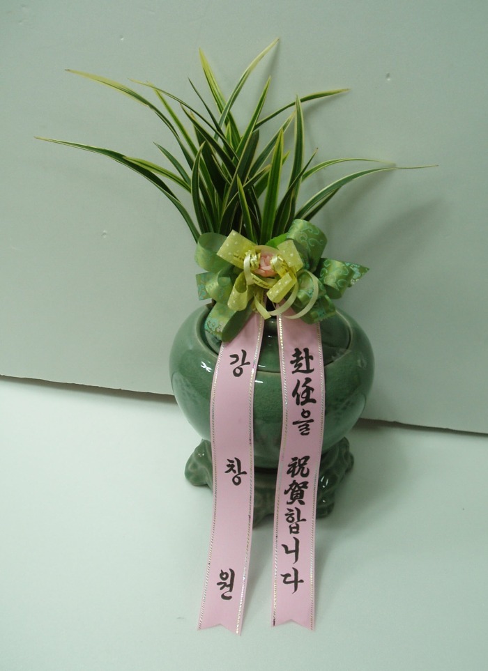 * 뱸Դϴ