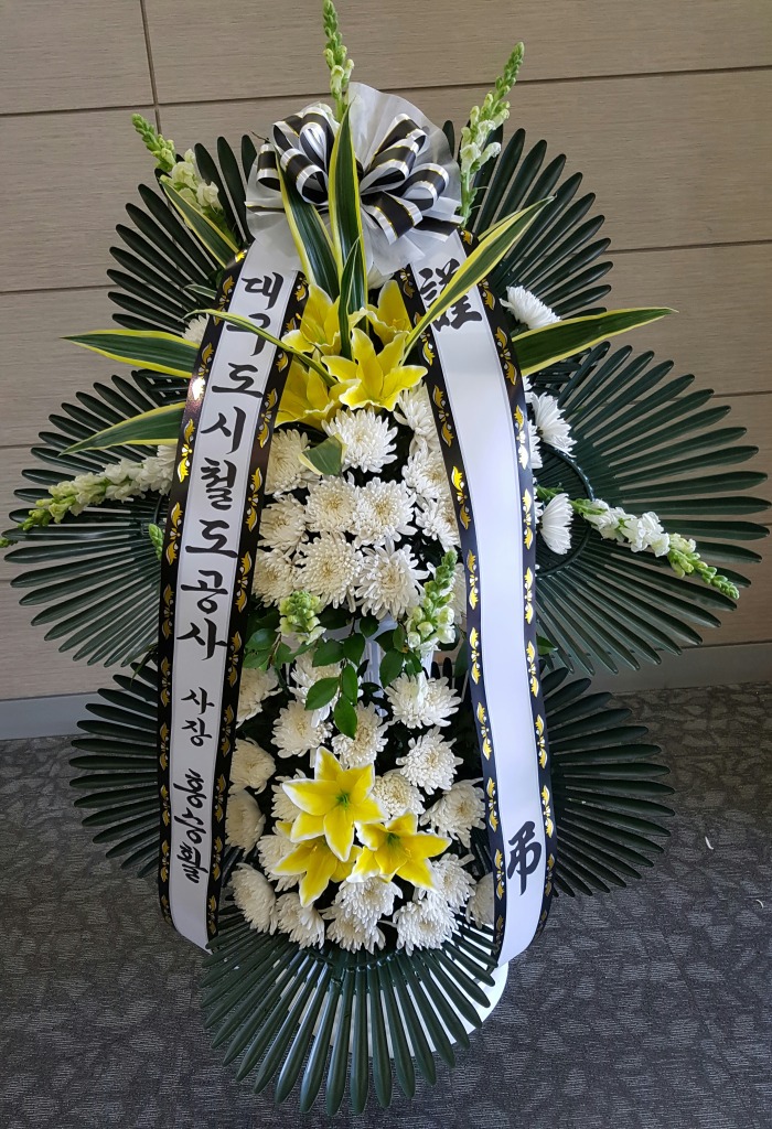 뱸ö 뱸ɹ Դϴ 
